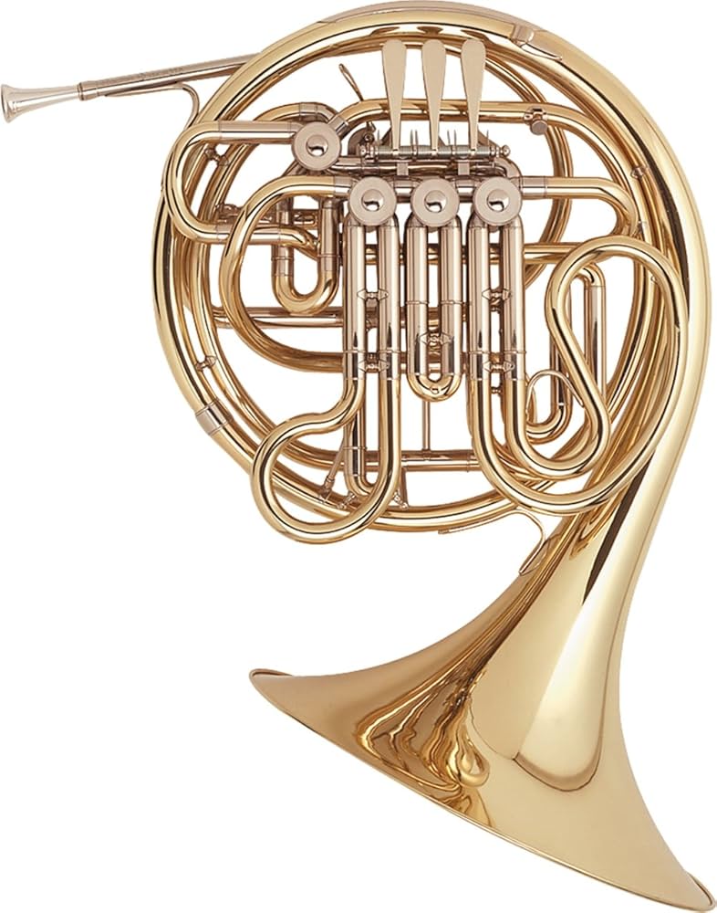 Amazon.co.jp: ホルトン フレンチホルン ダブル ラッカー(H378) : 楽器