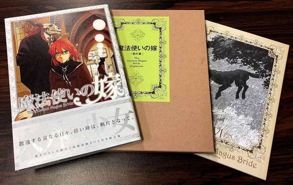 初回限定版 魔法使いの嫁 12 B(小冊子&特製収納BOX付) (BLADE COMIC SP