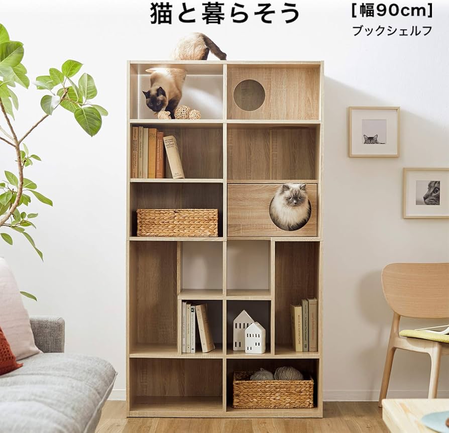 Amazon | LOWYA ロウヤ 猫 家具 キャットタワー キャットウォーク 壁面