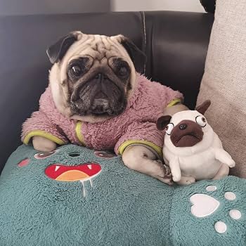 Amazon.co.jp: PASHMAIRE パグ犬のぬいぐるみ、6インチ 面白くて