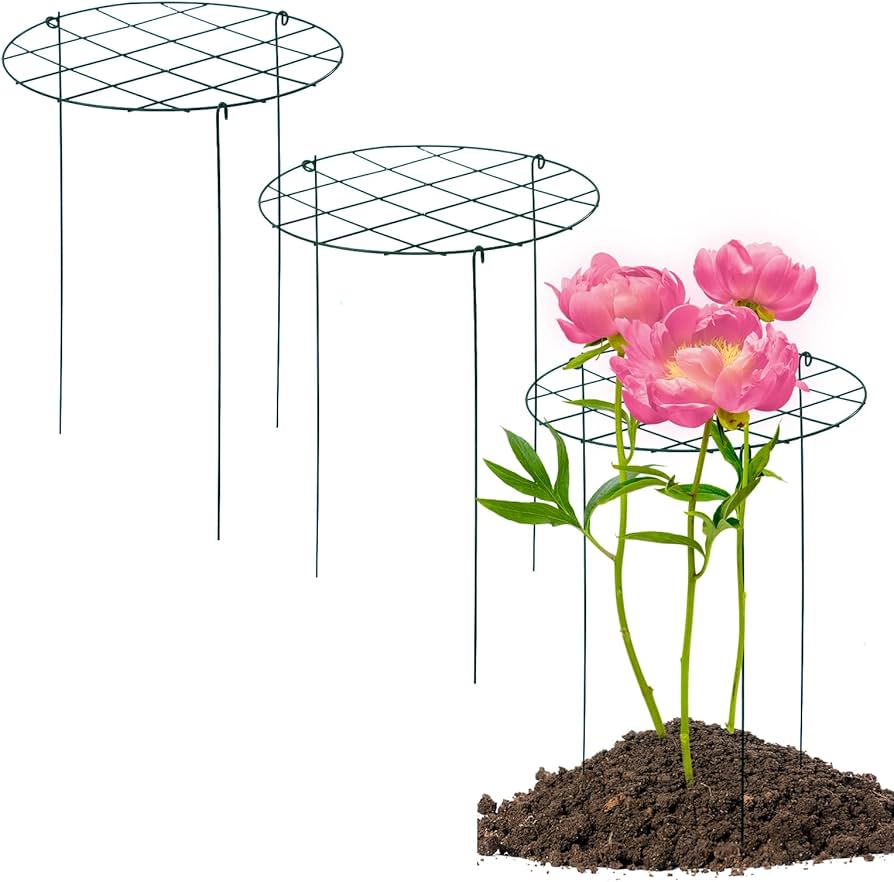 Amazon.com : TIyneayle 3 Pack Peony Cages and Supports 16 x 24