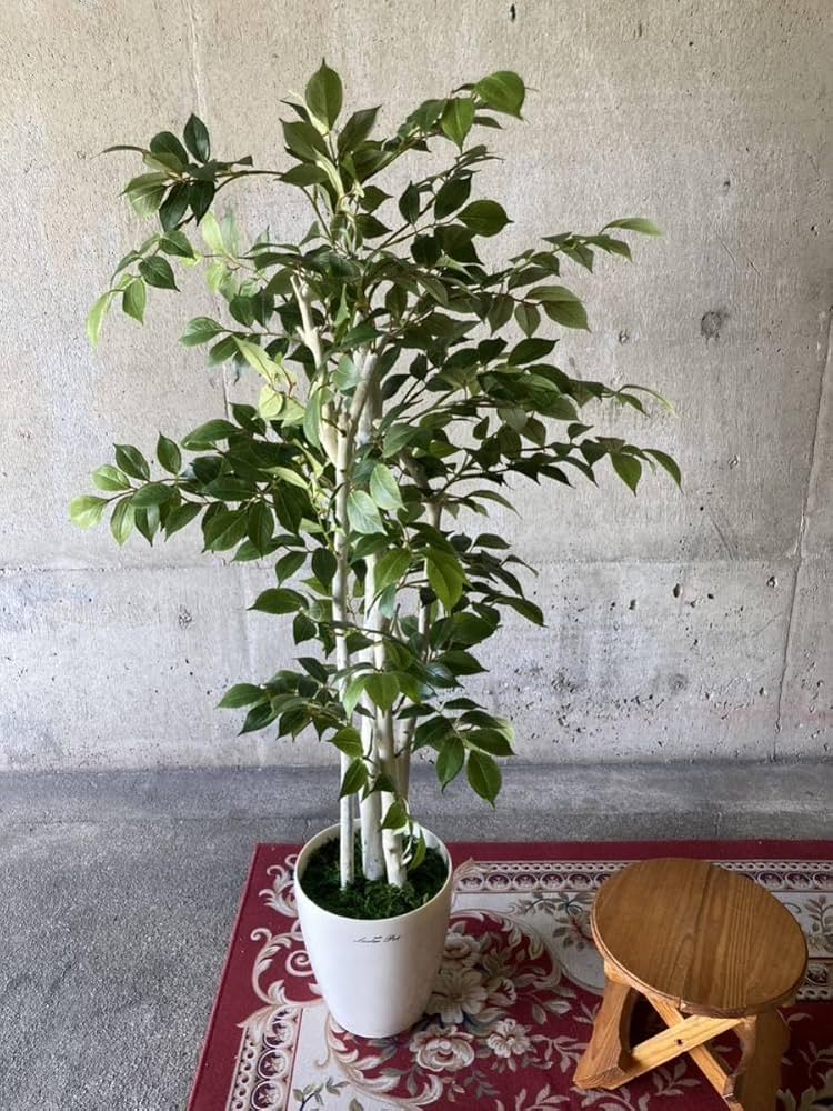Amazon.co.jp: 光触媒 人工観葉植物 ウォールグリーン フェイク