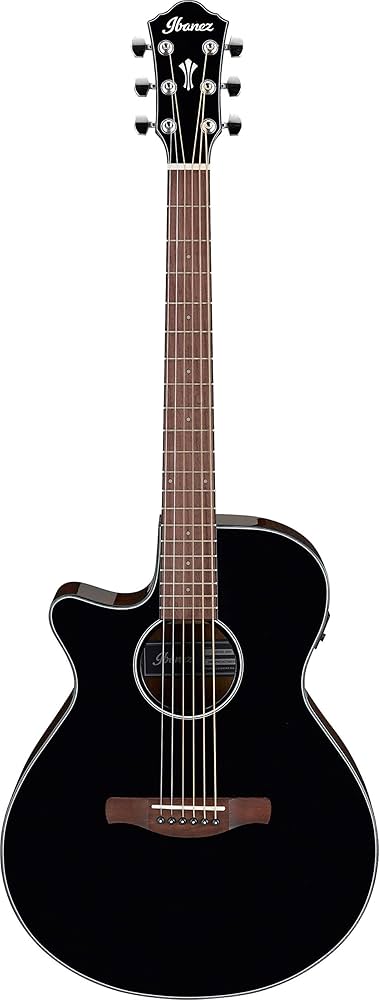 Amazon | Ibanez アイバニーズ 抱えやすいジャストサイズのエレアコ