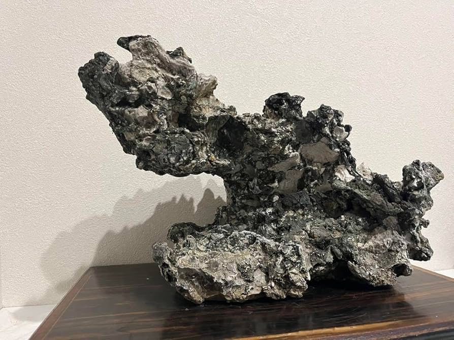 Amazon.co.jp: 大型揖斐石 揖斐川 龍眼石 竜眼石 竜岩石 龍岩石 立ち石