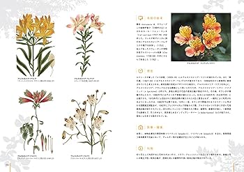 ボタニカルアートで楽しむ 花の博物図鑑 | 土橋豊 |本 | 通販 | Amazon