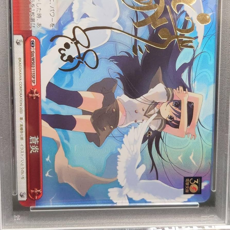 ヴァイスシュヴァルツ 蒼炎 SP 電撃文庫 灼眼のシャナ ヴァイス