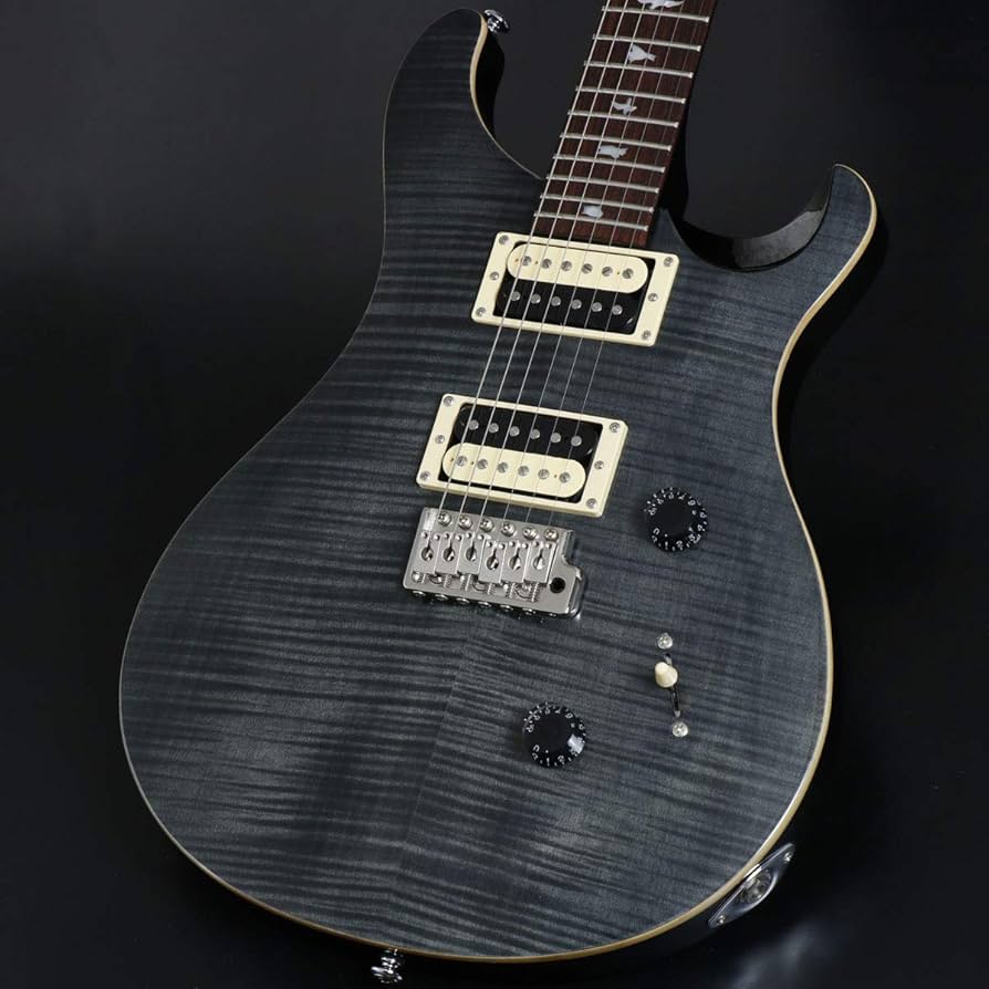Amazon | PRS SE Custom24 Gray Black S/N:R23308 ポールリードスミス