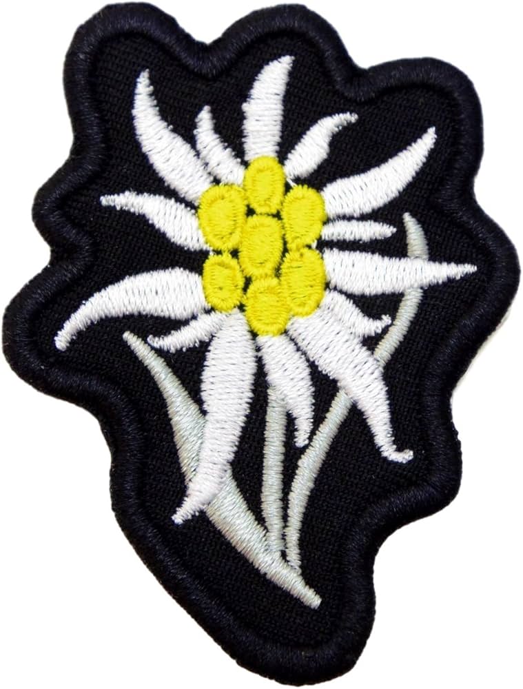 Amazon | 旧 ドイツ軍 独 ワッペン バッジ 帽章 SS ドイツ 国防軍