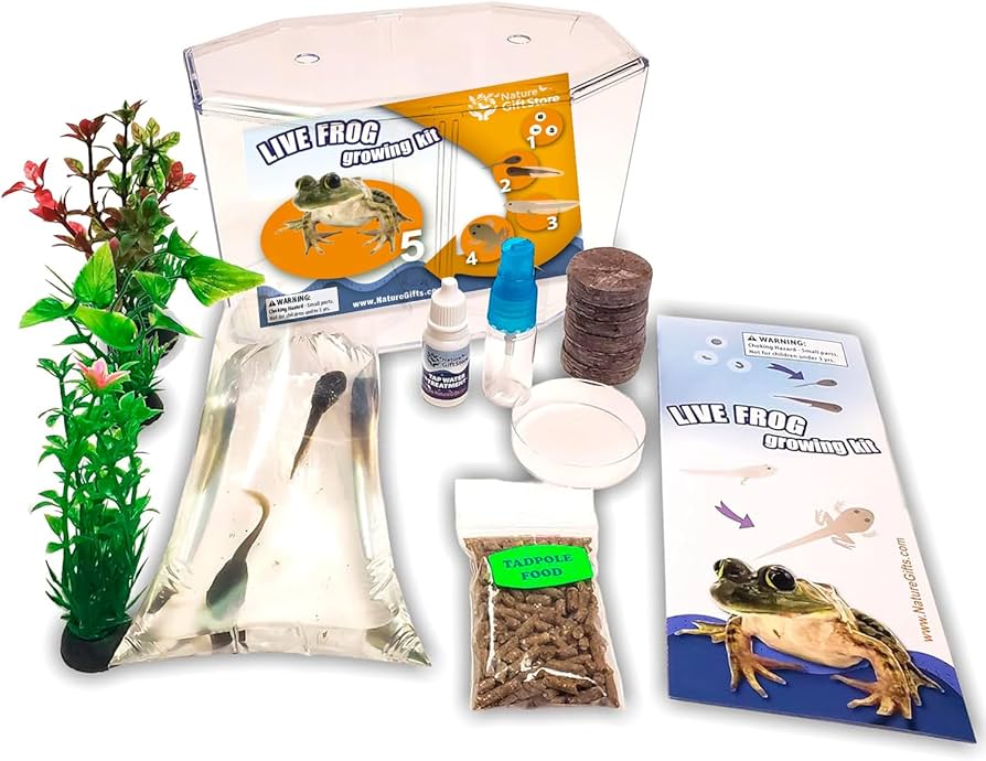 Amazon.com: Tadpole to Frog Starter Kit - Includes Certificate for