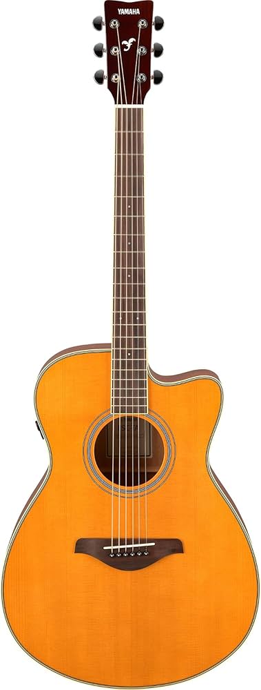 Amazon.co.jp: ヤマハ YAMAHA トランスアコースティックギター