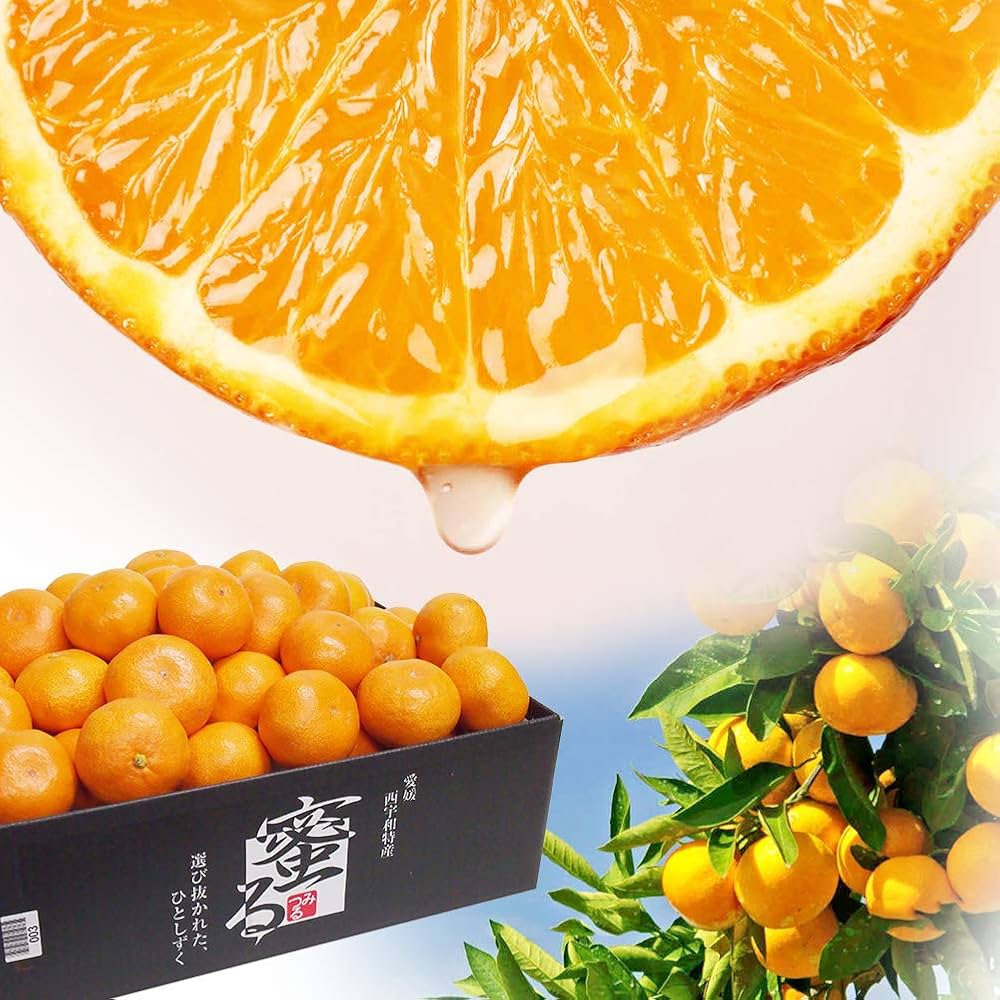 Amazon.co.jp: みかん 蜜る 特秀品 約2.5kg S～Lサイズ 20～30玉 JA