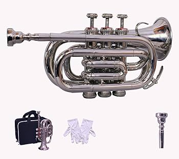 Amazon.co.jp: Sai Musical インディア ポケットトランペット Bb