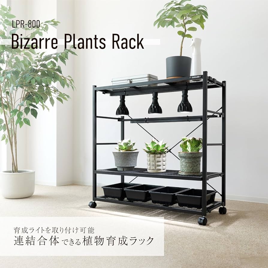 Amazon.co.jp: BIBILAB(ビビラボ) ビザールプランツラック LPR-800-BK