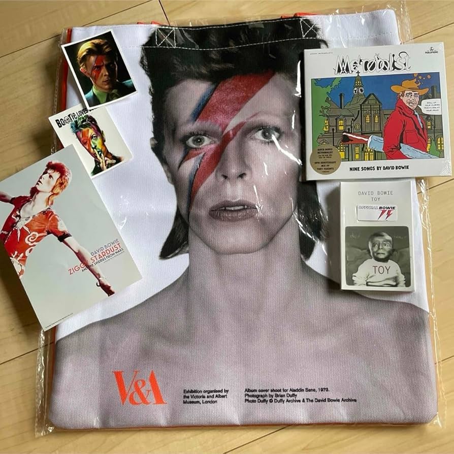 Amazon.co.jp: david bowie デヴィッドボウイ グッズセット : おもちゃ