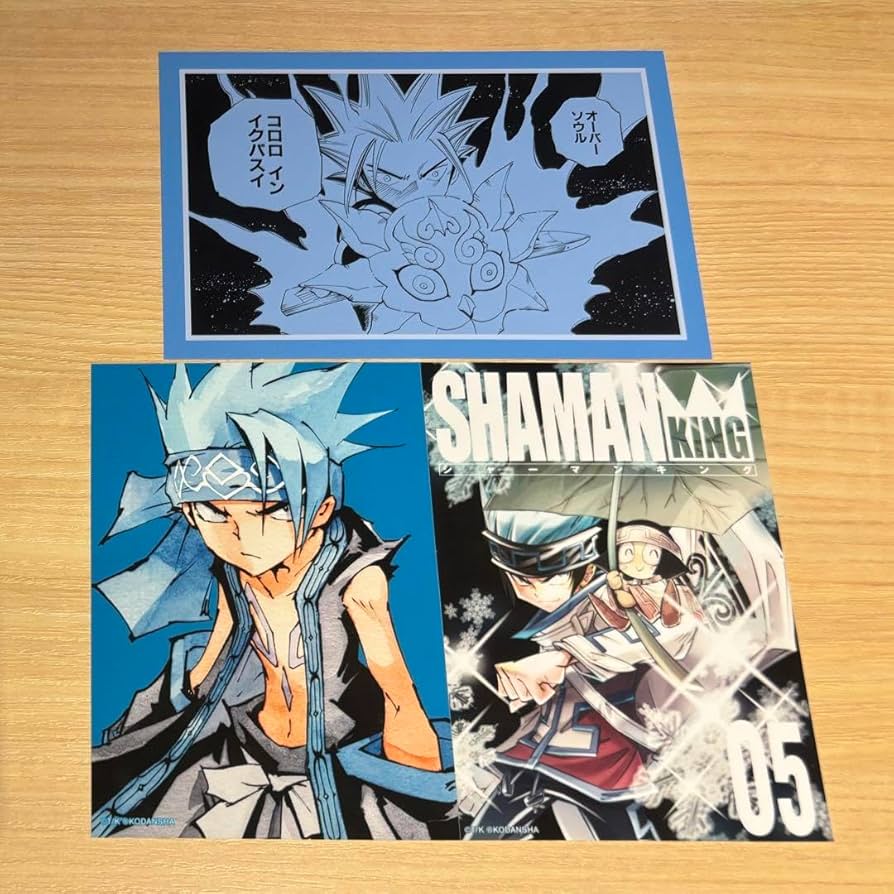 Amazon.co.jp: シャーマンキング ホロホロ セット : ホーム＆キッチン