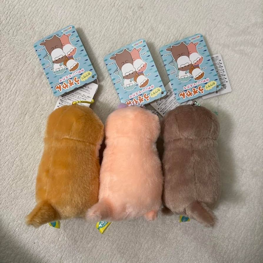 Amazon.co.jp: カワウソ うそやん?かわいいともだち うそやん うそたん