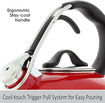 Amazon.com: Chantal Classic Loop Enamel on Steel Whistling Tea