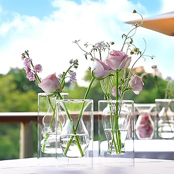Amazon.com: ZENS Clear Glass Bubble Flower Vase, Modern Hand Blown