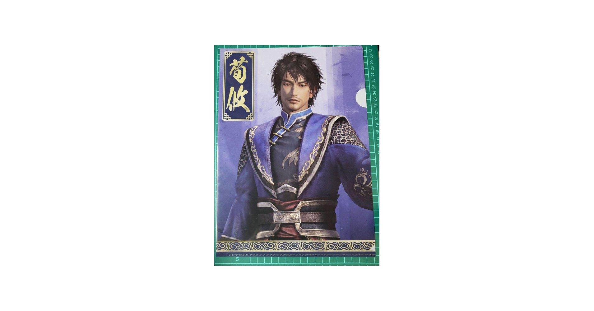 Amazon.co.jp: 三國無双 荀攸 クリアファイル 真・三國無双8 魏