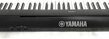 Amazon.co.jp: YAMAHA 電子キーボード piaggero(ピアジェーロ