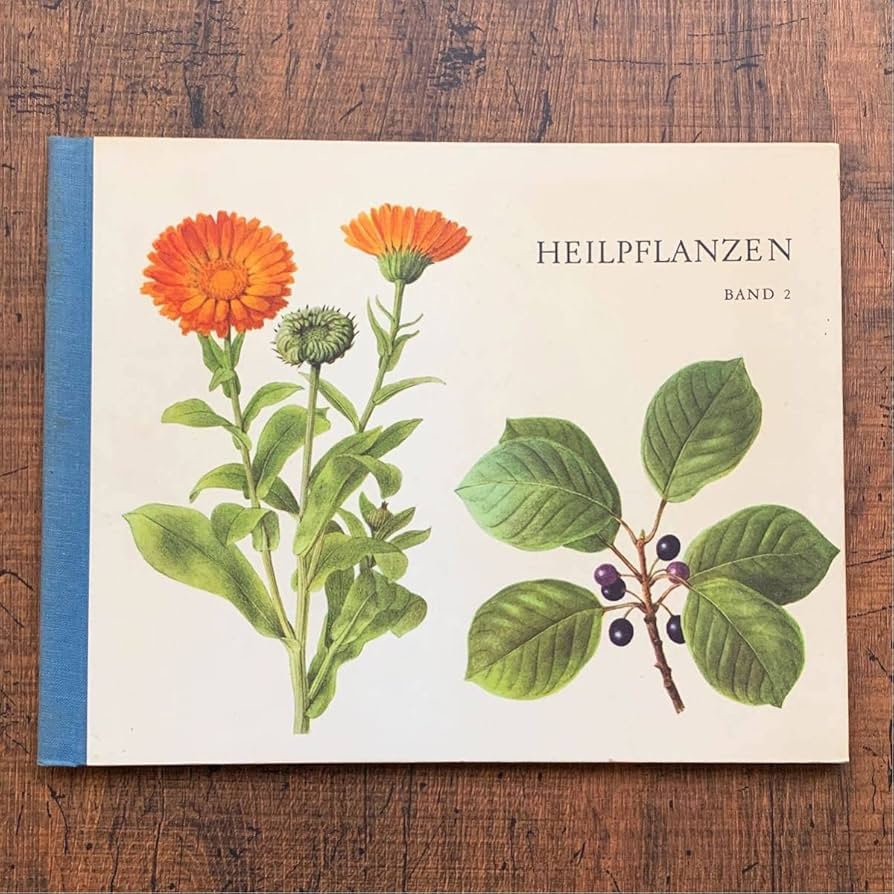 Amazon.co.jp: ドイツの古い植物図鑑(HEILPFLANZEN 2)アンティーク