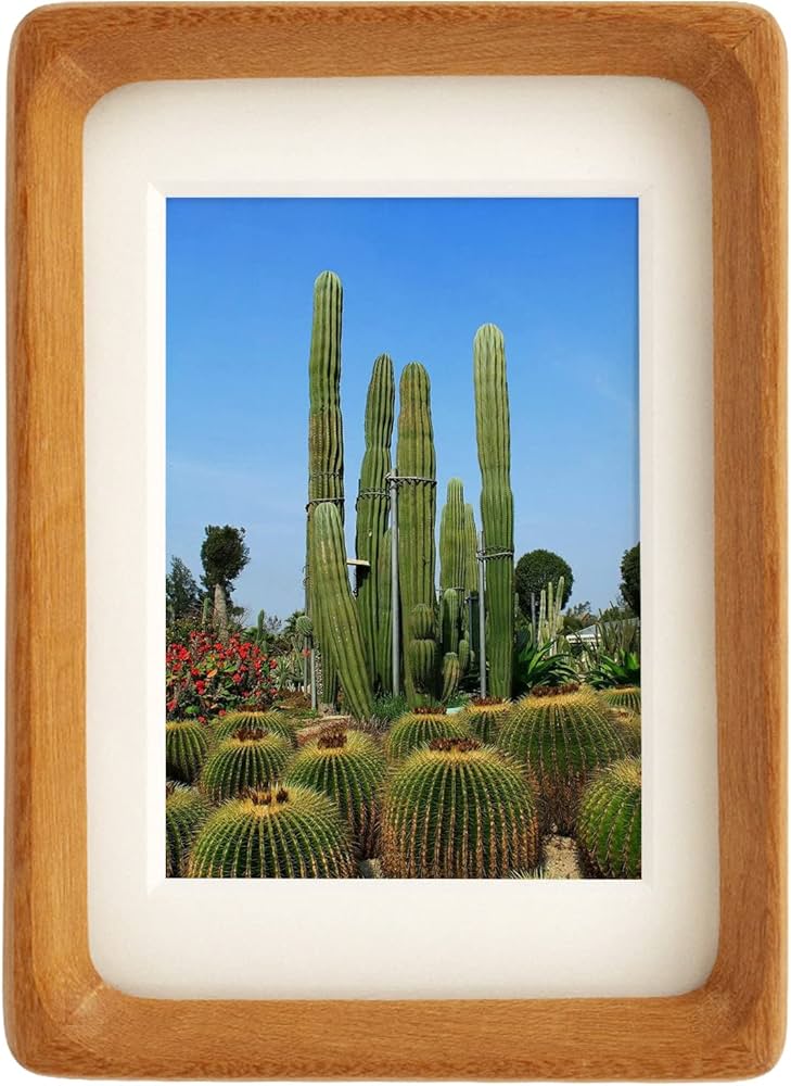 Amazon.com - MDICN Wood Picture Frame with Mat, Desk or Wall