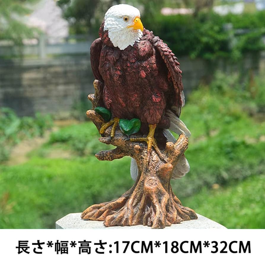 71Xg0JDT-yL._AC_UF894,