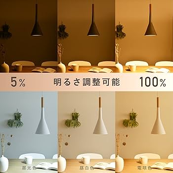 Amazon.co.jp: VENTOTA 3灯ペンダントライト 本体のみ 吊り下げ