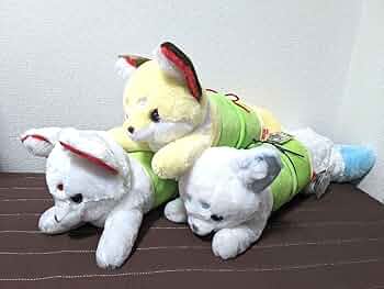 71bwnPHP2fL._AC_UF350,