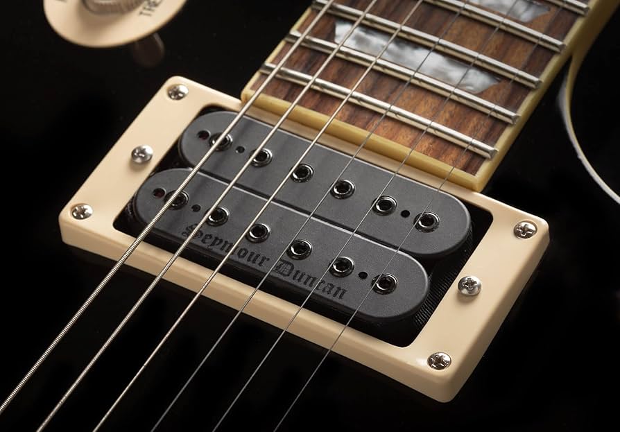 Amazon.com: Seymour Duncan Blackened Black Winter High-Output