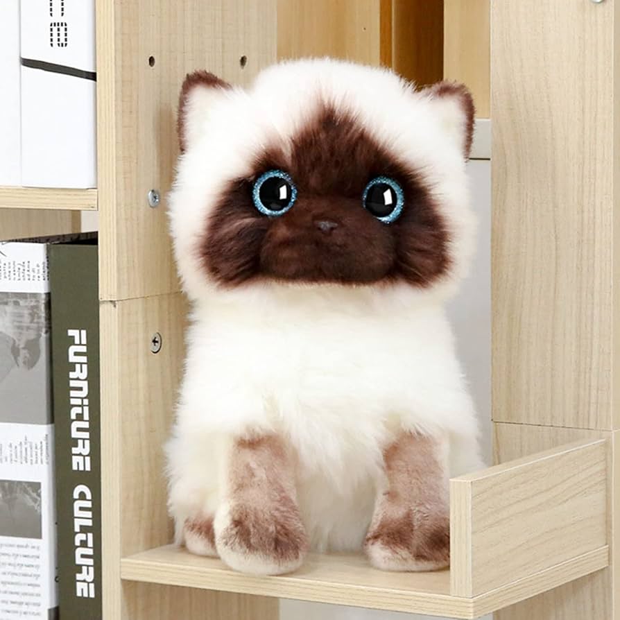 Amazon.co.jp: シャム猫 ぬいぐるみ ねこ おもちゃ かわいい