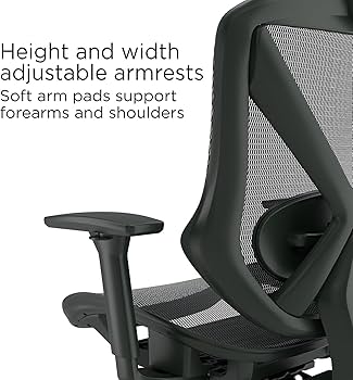 Amazon.com: STAPLES Dexley Ergonomic Mesh Office Chair