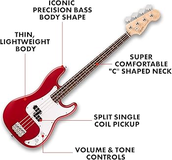 Amazon.com: Fender Squier Debut Series Precision Bass Guitar