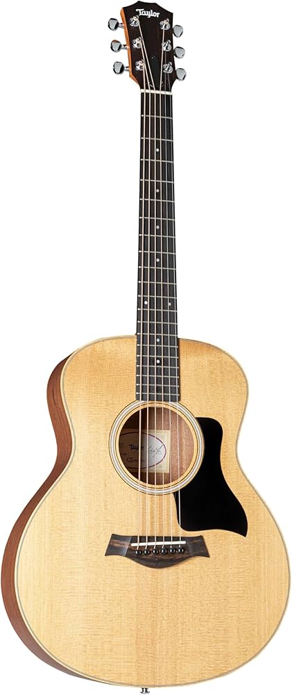 Amazon | Taylor Sapele GS Mini | スチール弦アコースティックギター