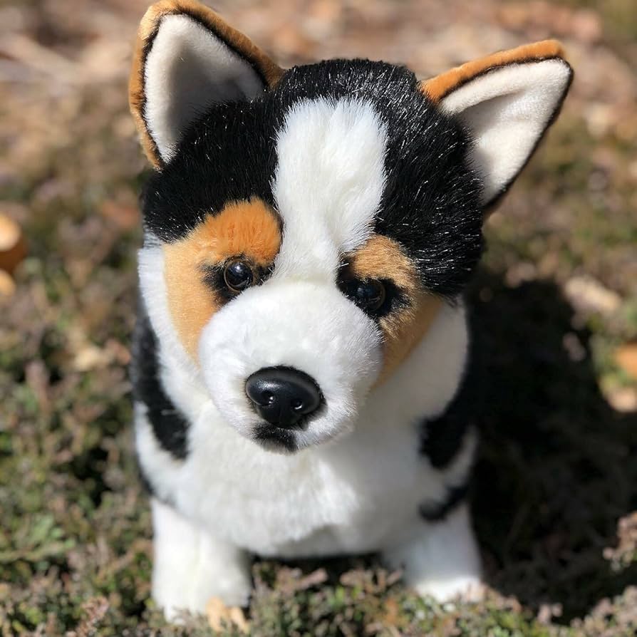 Amazon.co.jp: Auswella ぬいぐるみ 17インチ 3色コーギー ぬいぐるみ