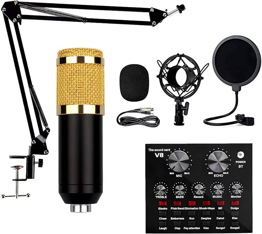 Amazon.co.jp: コンデンサーマイクセット、スタジオマイク、V8サウンド