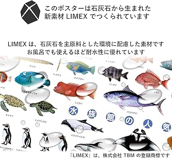 Amazon | 魚 図鑑 こども ポスター ザ・アクセス 水族館の人気者 A1
