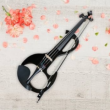Amazon.co.jp: プロ仕様エレキバイオリンセット アクセサリー付き