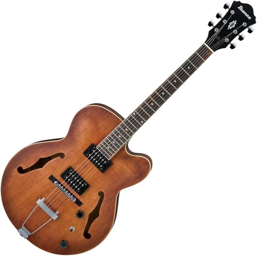 Amazon.com: Ibanez Artcore AF55 Hollowbody Electric Guitar