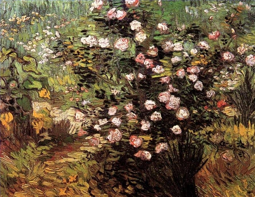 Amazon.co.jp: 18 アート絵画 花のローズブッシュ ヴィンセント