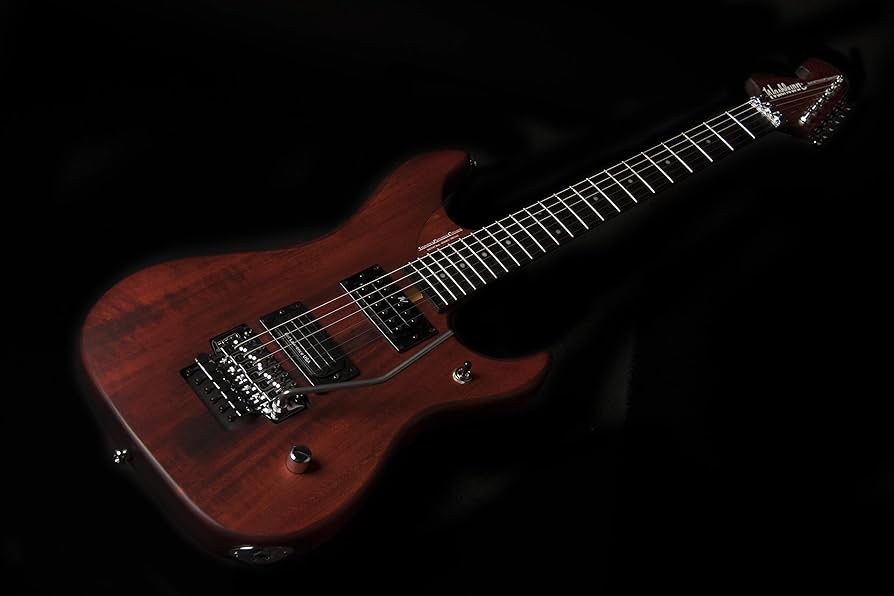 Amazon.com: Washburn 6 String Solid-Body Electric Guitar, Padauk