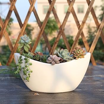 Amazon.co.jp: [ADSNS] 植木鉢 サボテン鉢 プランター 三日月の植木鉢