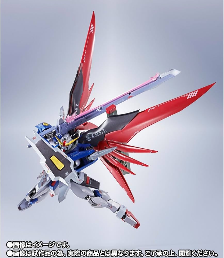 Amazon.co.jp: METAL ROBOT魂 ＜SIDE MS＞ デスティニーガンダム ［Re