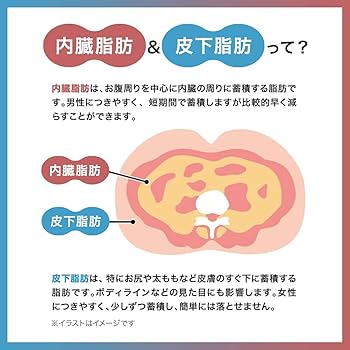 Amazon.co.jp: TBC サプリメント FBドリンクR 50mL×10本入【機能性表示