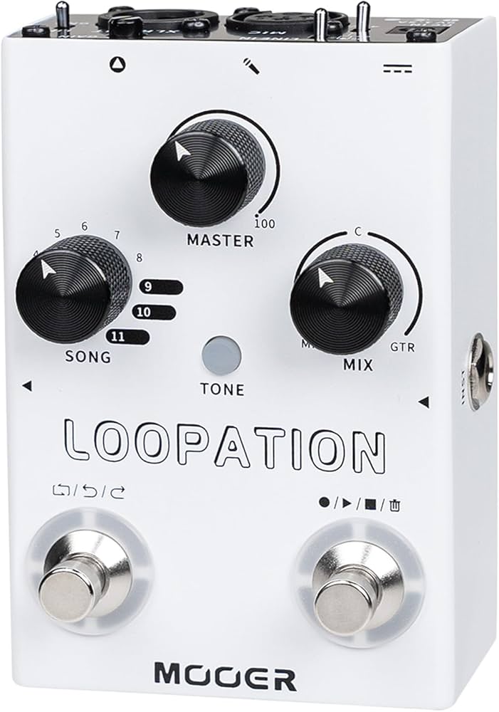 Amazon.com: MOOER Looper Vocal Effects Processor Guitar Voice