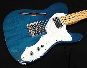Amazon | FGN FUJIGEN NTE110MMHT TBL フジゲン Neo Classic SERIES