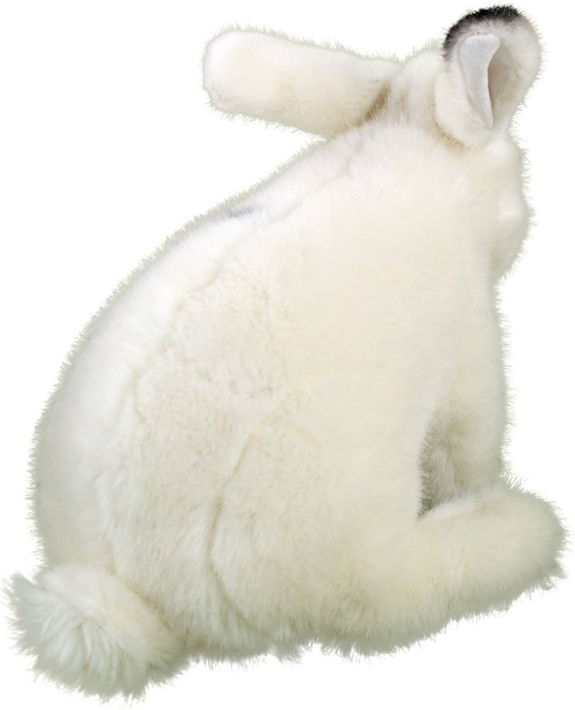 Amazon.co.jp: うさぎ 白 KOSEN(ケーセン社) 24cm 