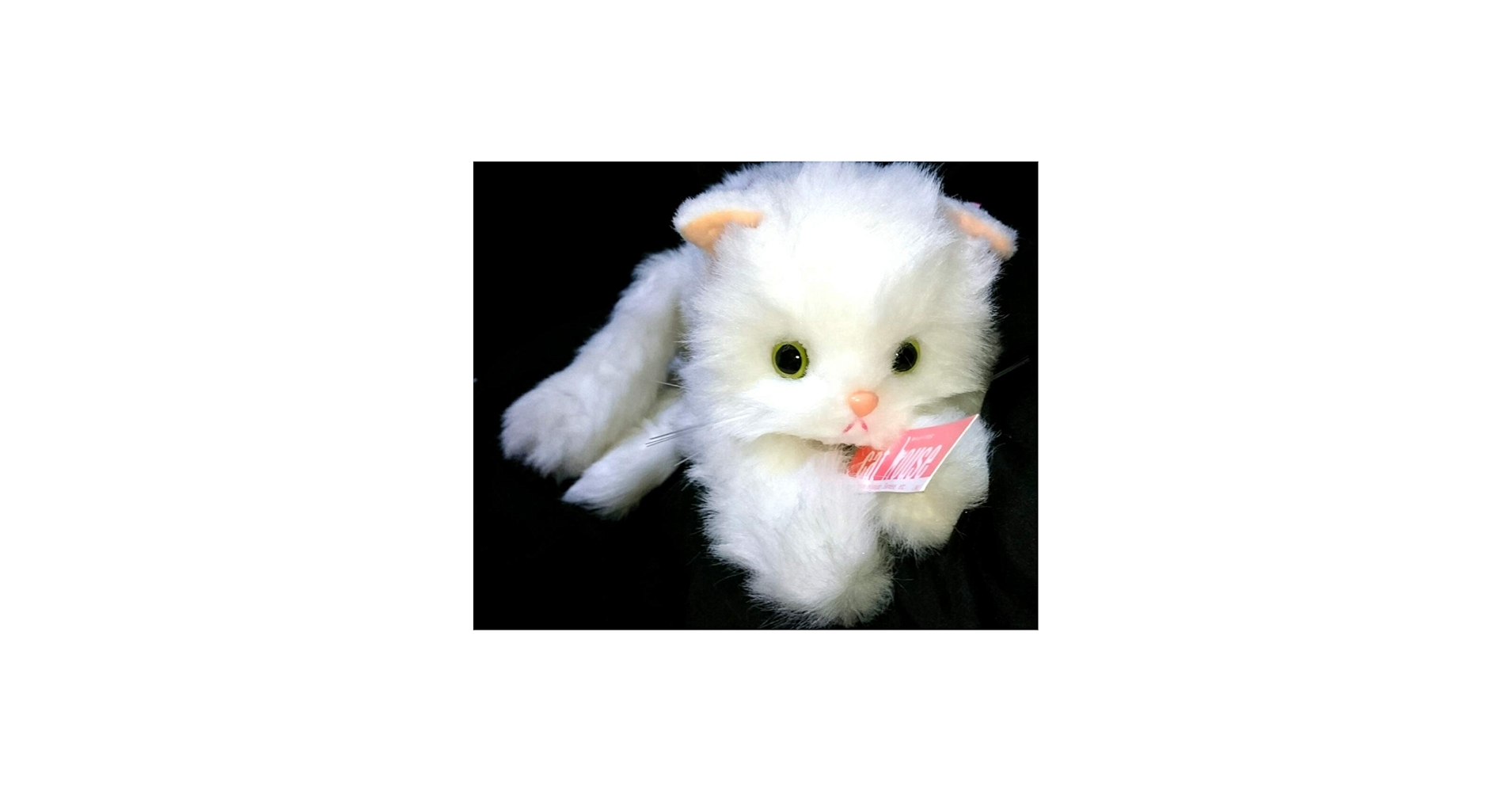 Amazon.co.jp: 激レア タグ付 70cm 猫 ねこ ネコ オオイケ ペルシャ猫