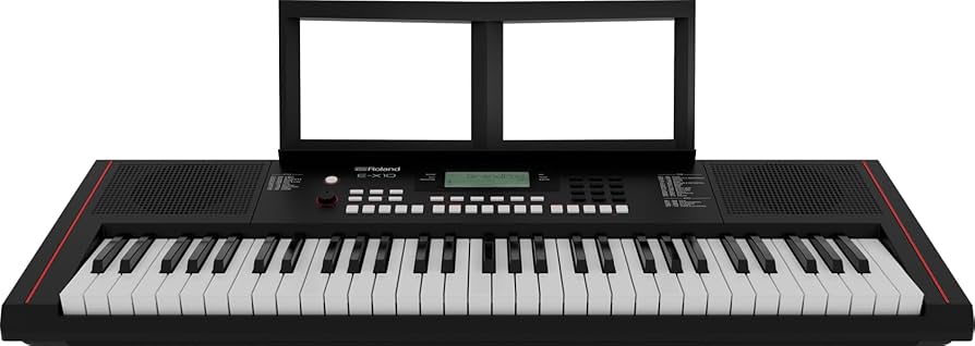 Amazon.co.jp: Roland ローランド 電子キーボード E-X10 アレンジャー