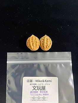 Amazon | A0044文玩屋 遊び胡桃 希少天然「ミニ3ムキ胡桃」「手で遊び